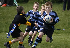 mini_rugby_success